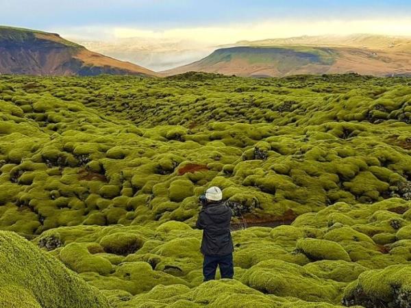Iceland small group holiday