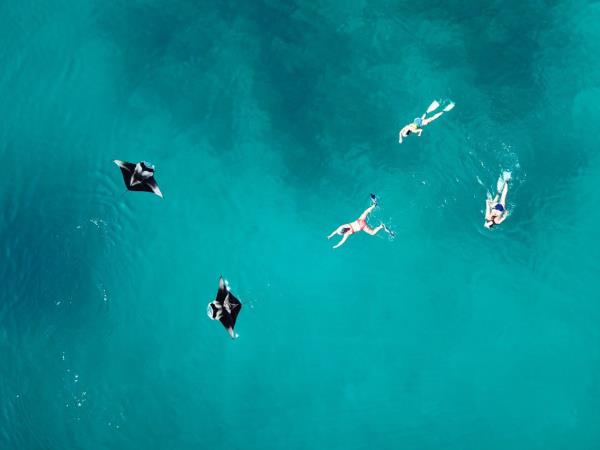 Maldives private gulet cruise holiday