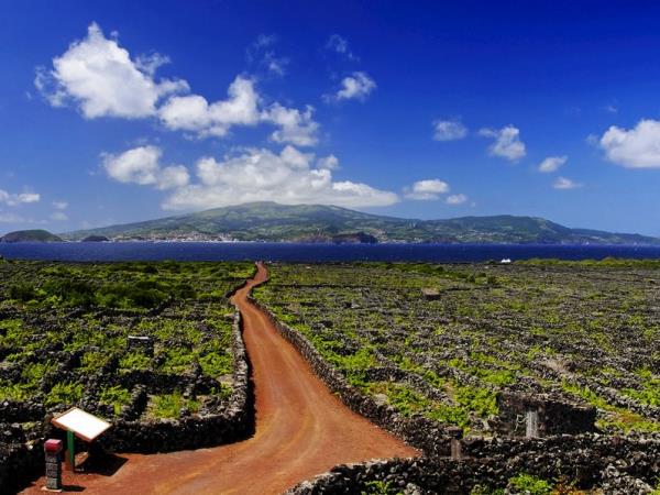 Walking holiday in the Azores