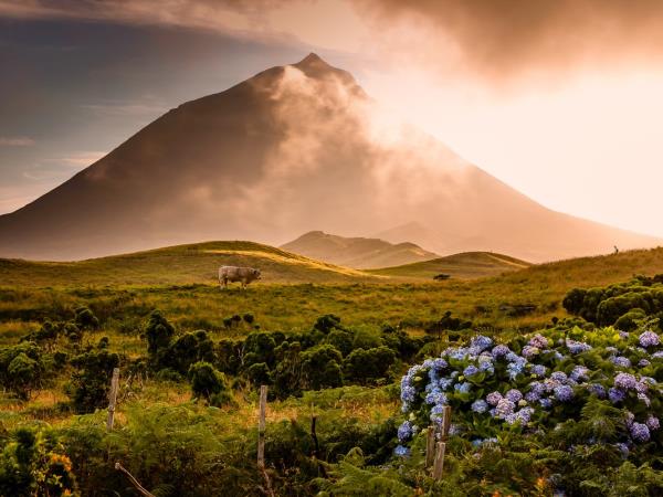 Walking holiday in the Azores