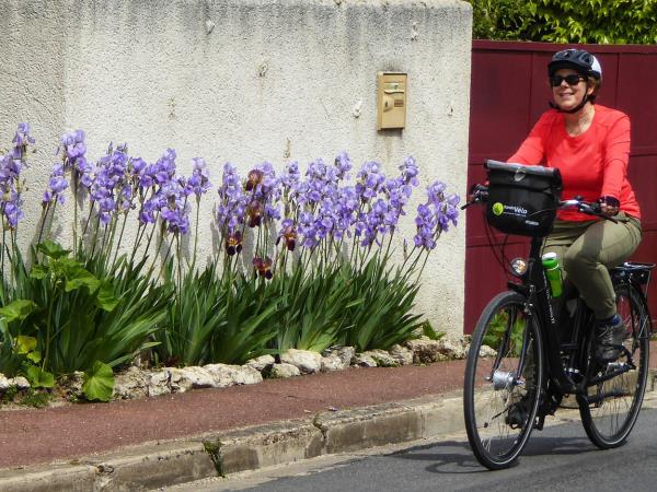 Loire Valley by bike holiday
