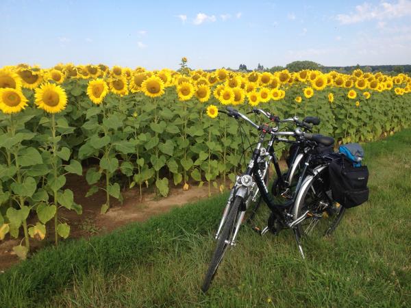 Loire Valley by bike holiday