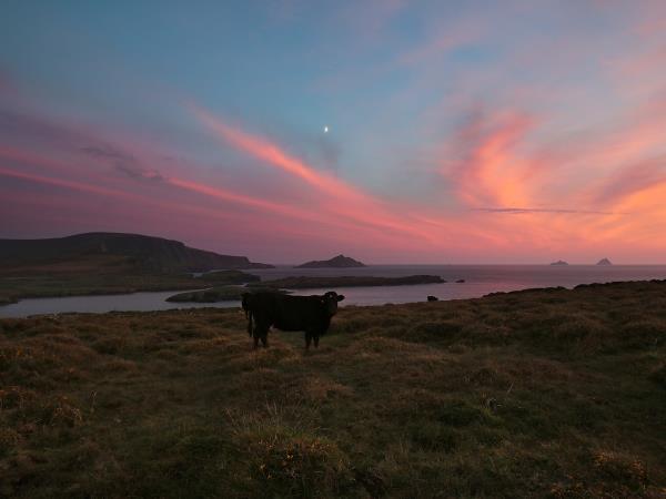 Dingle Peninsula self guided walking holiday