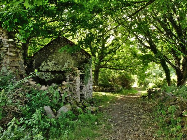 Dingle Peninsula self guided walking holiday