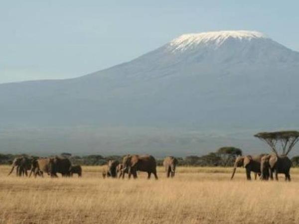 Kenya and Tanzania safari holiday