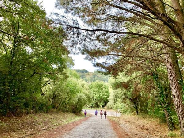 The French Way walking holiday, Sarria - Santiago