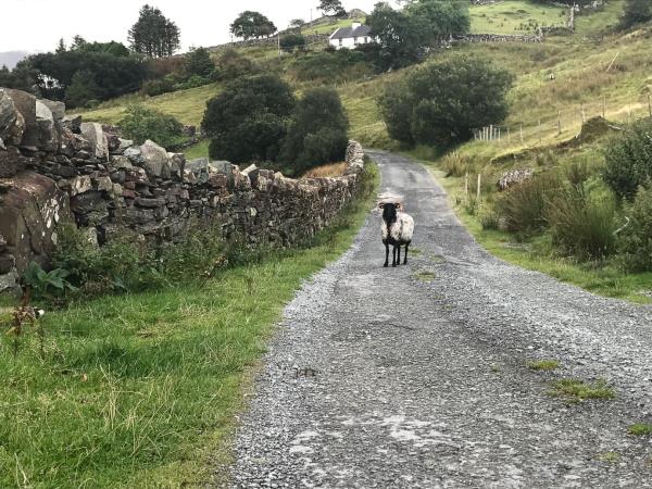 Ring of Kerry walking holiday in Ireland