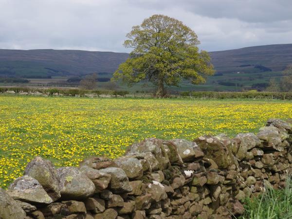 Coast to Coast cycling holiday in England