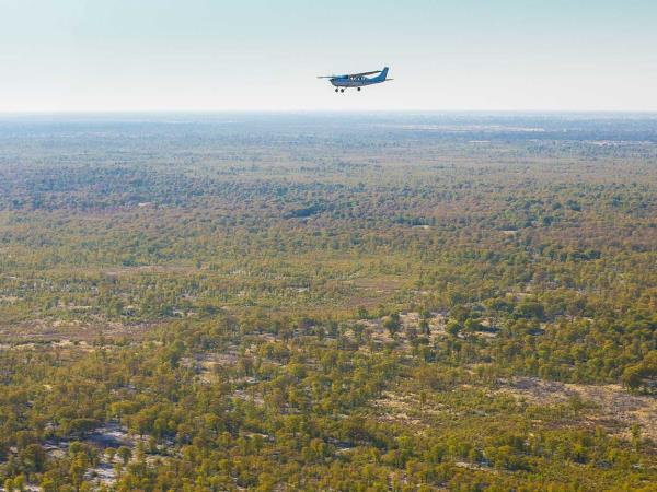 Highlights of Botswana luxury safari
