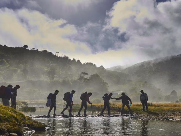 Pacific coast trekking in Southern Chile