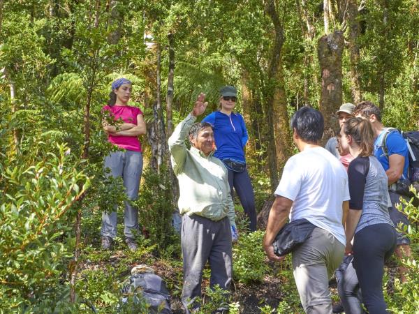 Pacific coast trekking in Southern Chile