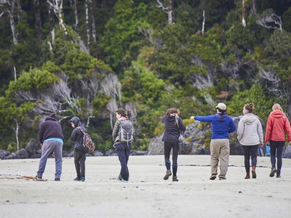 Pacific coast trekking in Southern Chile