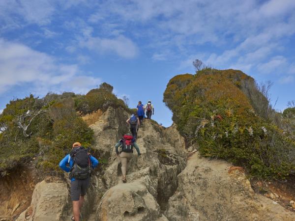 Pacific coast trekking in Southern Chile