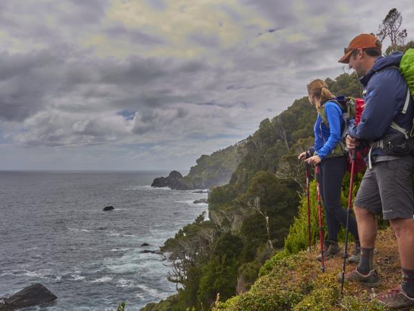 Pacific coast trekking in Southern Chile