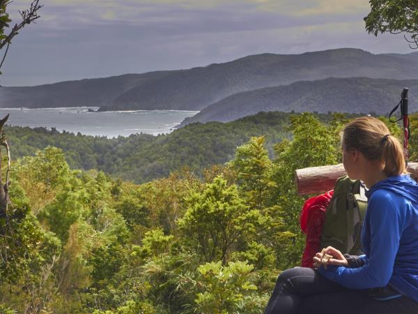 Pacific coast trekking in Southern Chile