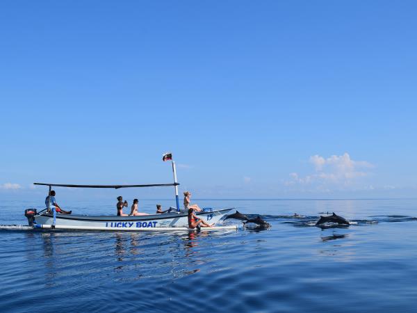 Bali experience holiday
