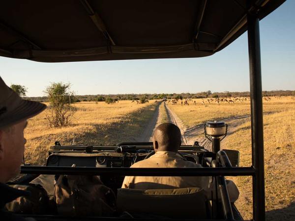 Botswana and Victoria Falls family safari