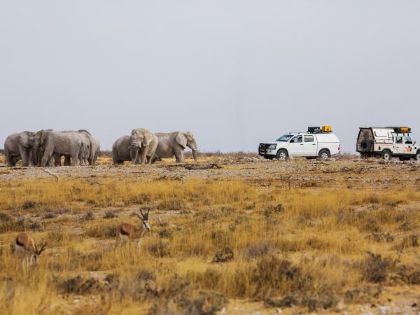 Botswana and Victoria Falls family safari