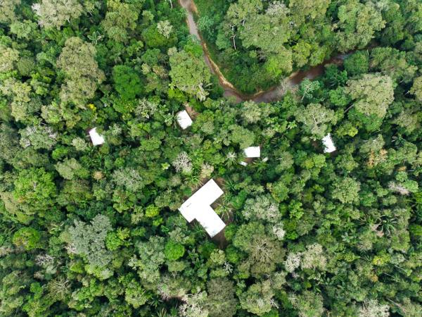 Wildlife photography internship in the Peruvian Amazon