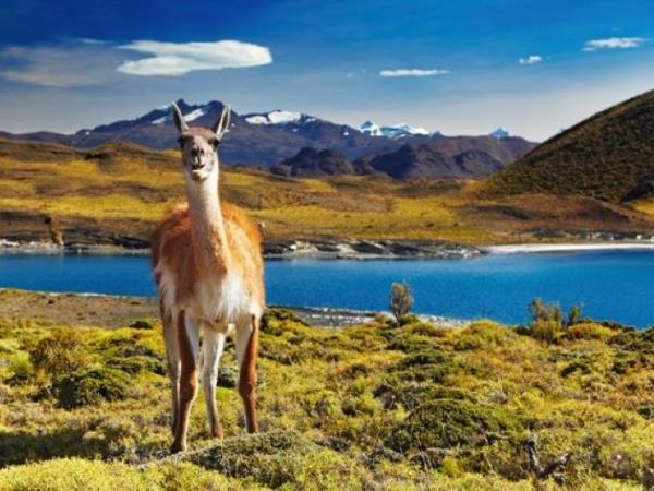 Best of Patagonia tailor made adventure holiday