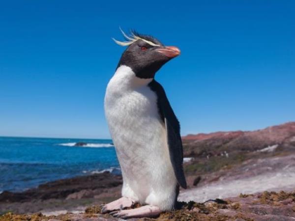 Argentina nature and culture holiday