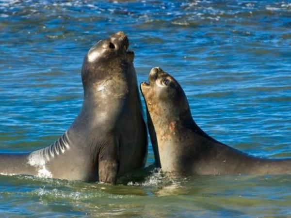 Argentina nature and culture holiday