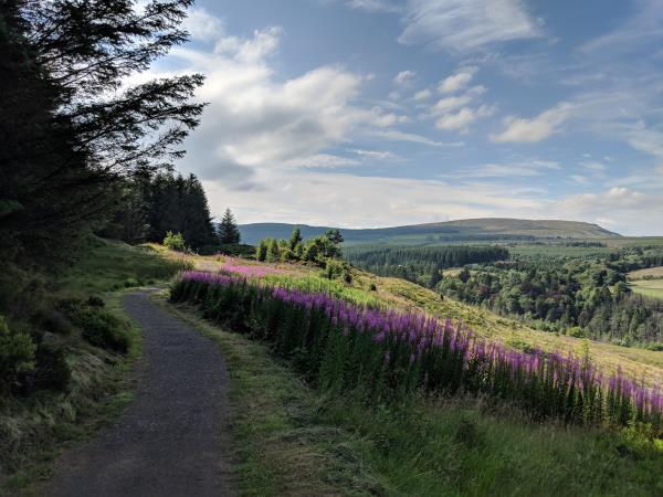 Northern Ireland tailor made hiking holiday