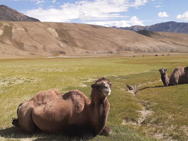 Afghanistan holiday, the Wakhan Corridor
