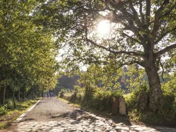 The French Way walking holiday, Sarria - Santiago