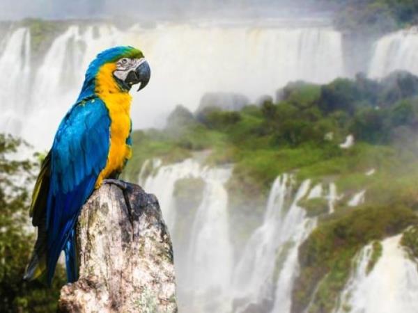 Northern Argentina tailor made holiday