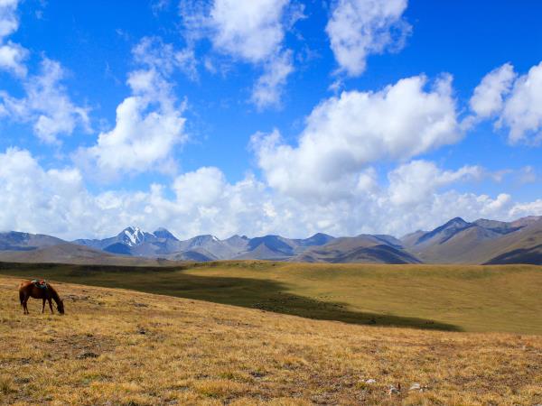 Central Asia adventure tour