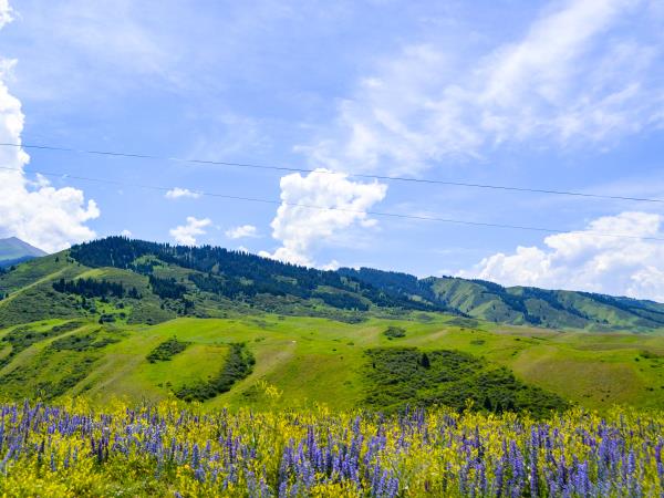 Central Asia adventure tour