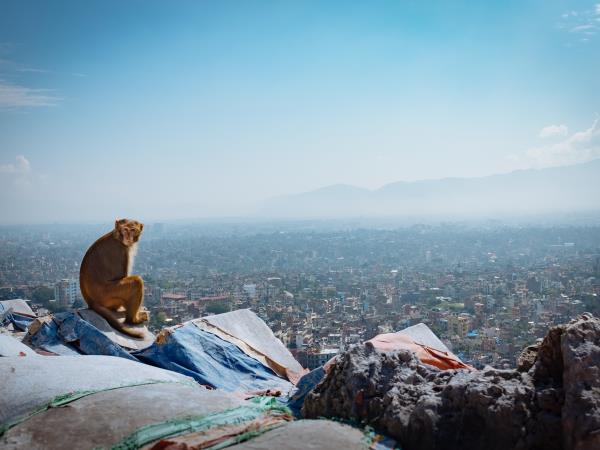 Nepal budget adventure tour