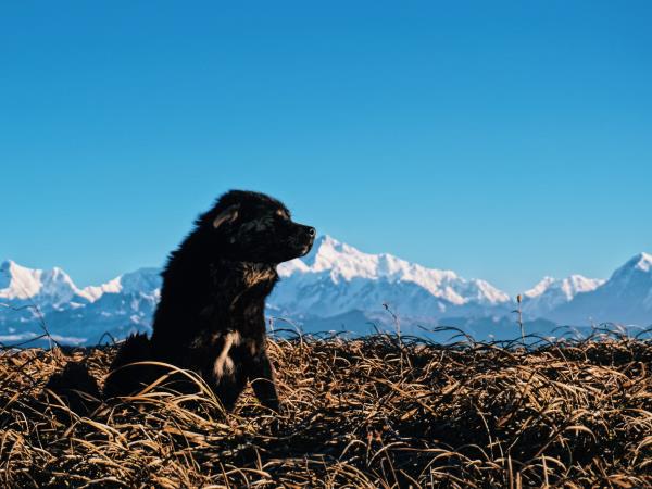 Nepal budget adventure tour