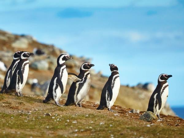 Patagonia holidays, 2 week tailor made tour