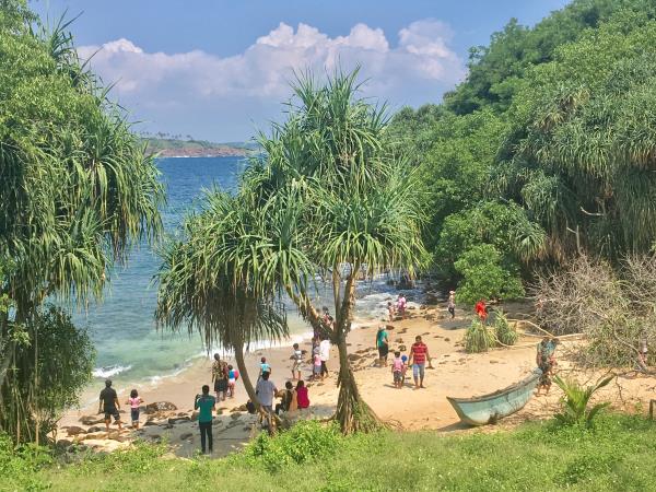 Yoga, surfing and culture holiday, Sri Lanka 14 days