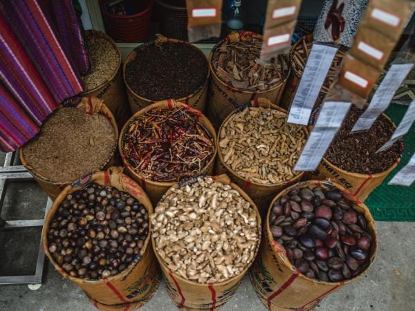Kerala tours, three weeks in Kerala