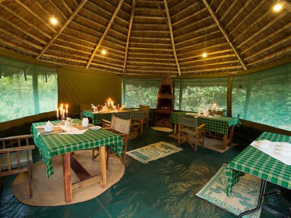 Kilimanjaro Lemosho trek and safari in Tanzania