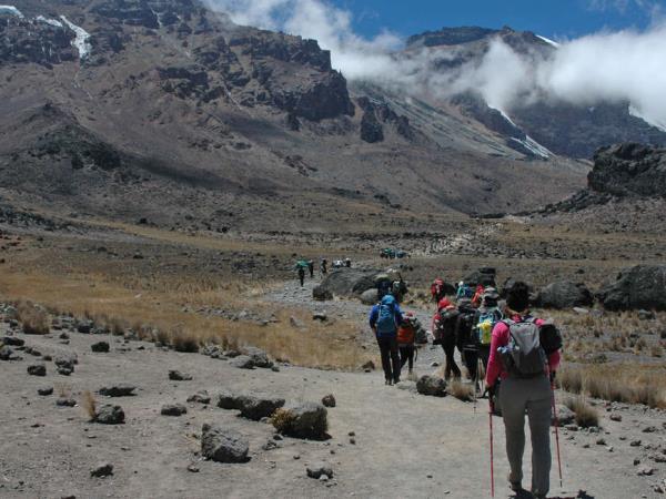 Kilimanjaro Lemosho trek and safari in Tanzania
