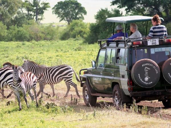 Tanzania wildlife holiday, Serengeti safari