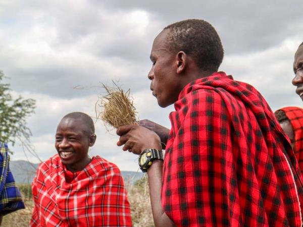 Tanzania wildlife holiday, Serengeti safari