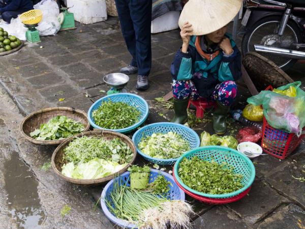 Saigon to Hanoi cycling holiday, Vietnam