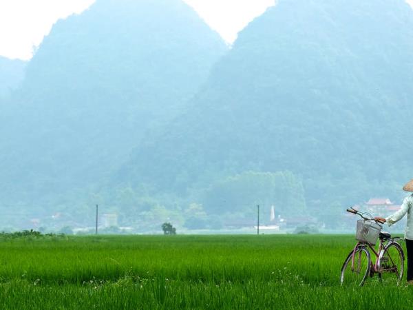 Saigon to Hanoi cycling holiday, Vietnam