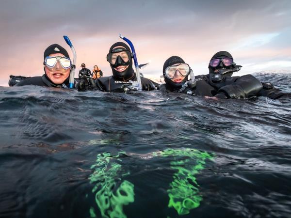 Swim with orcas in Norway, Northern Lights