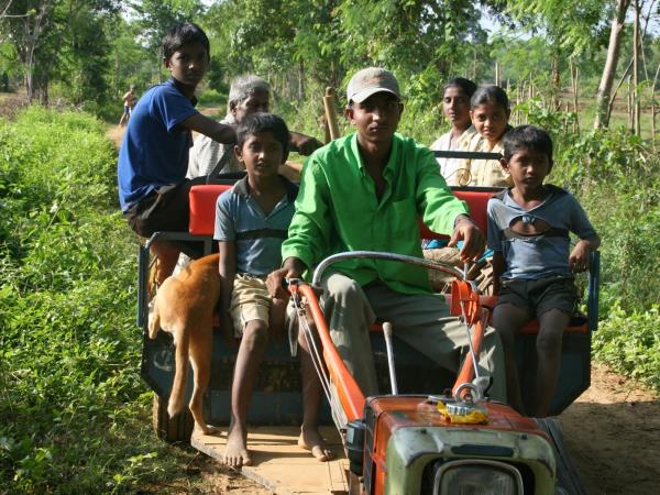 Online Sri Lankan elephant research and conservation course