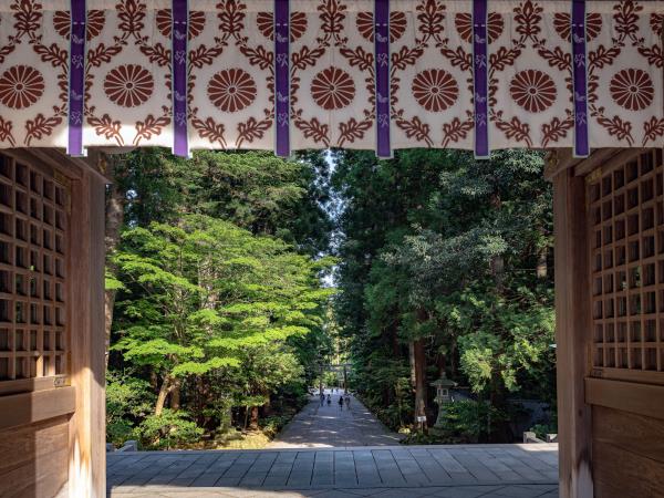 Japan sake tour