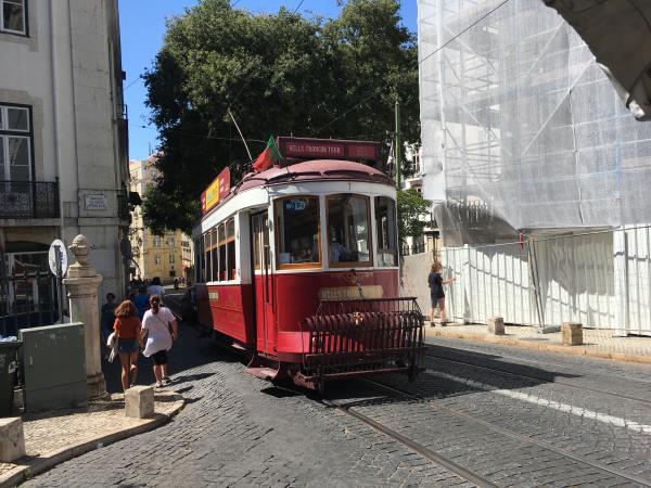 Online volunteering to support charities in Portugal