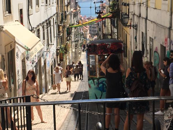 Online volunteering to support charities in Portugal