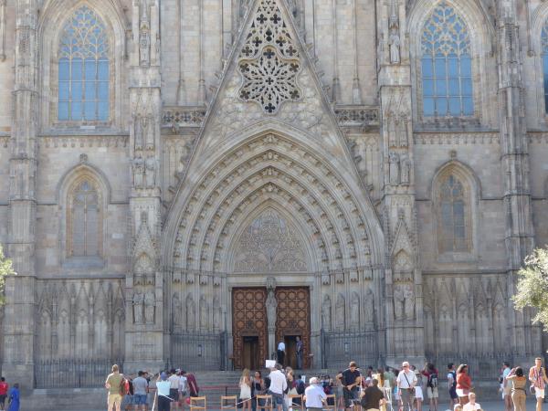 Online volunteering to support charities in Spain