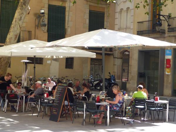 Online volunteering to support charities in Spain